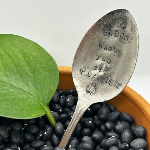 Plant Marker - Bloom where you are planted