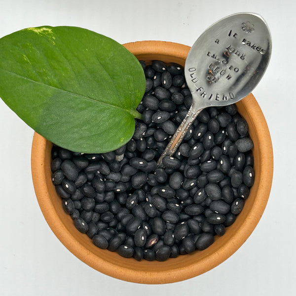 Plant Marker - It takes a long time to grow an old friend